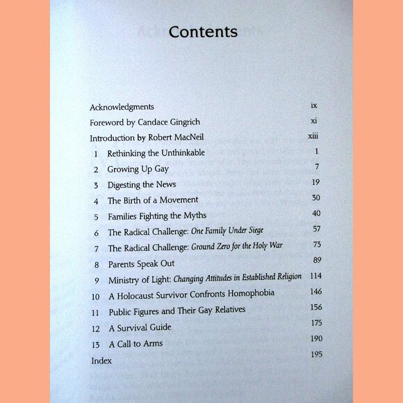 Book - Straight Parents, Gay Children: Inspiring Families to Live Honestly.... - Picture 2 of 14